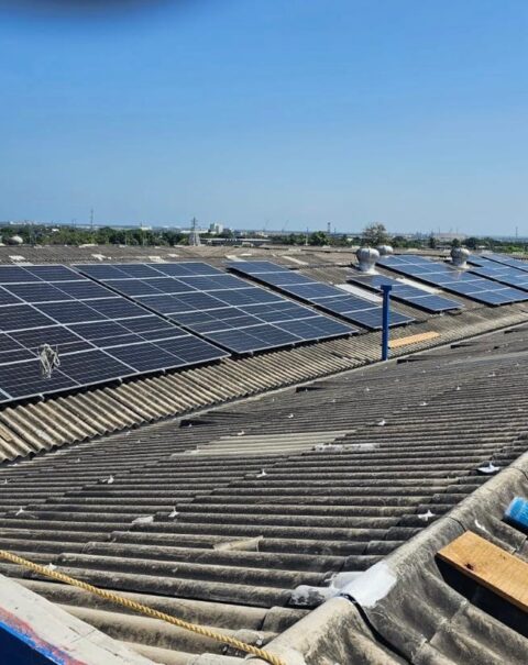 Imagen de WhatsApp 2025-02-25 a las 16.22.13_f14c4936